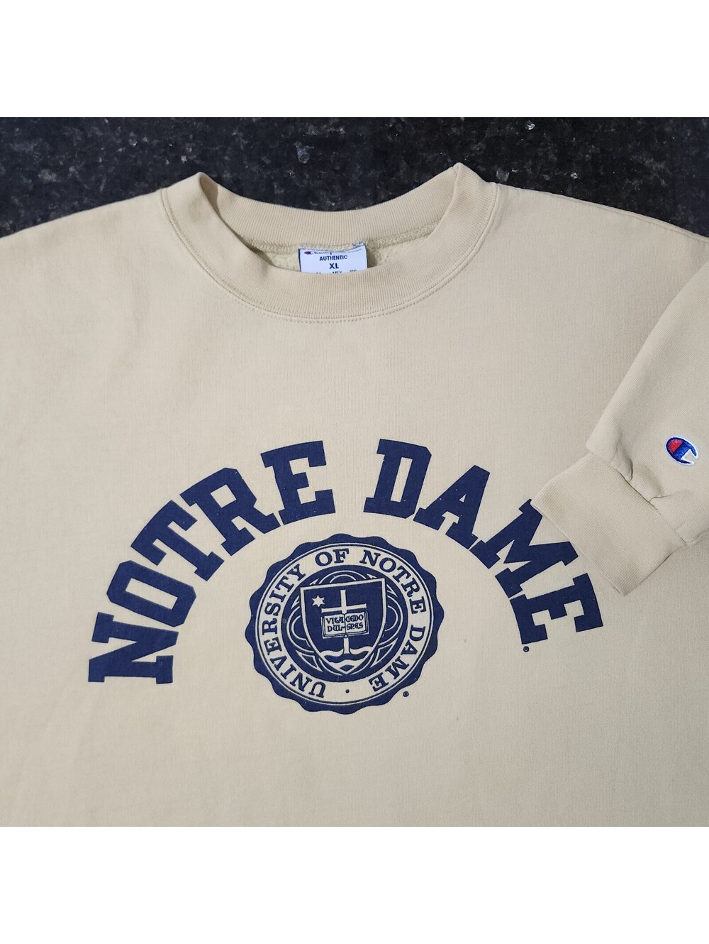Vintage Champion Eco University Of Notre Dame Crest Seal Football Sweatshirt XL